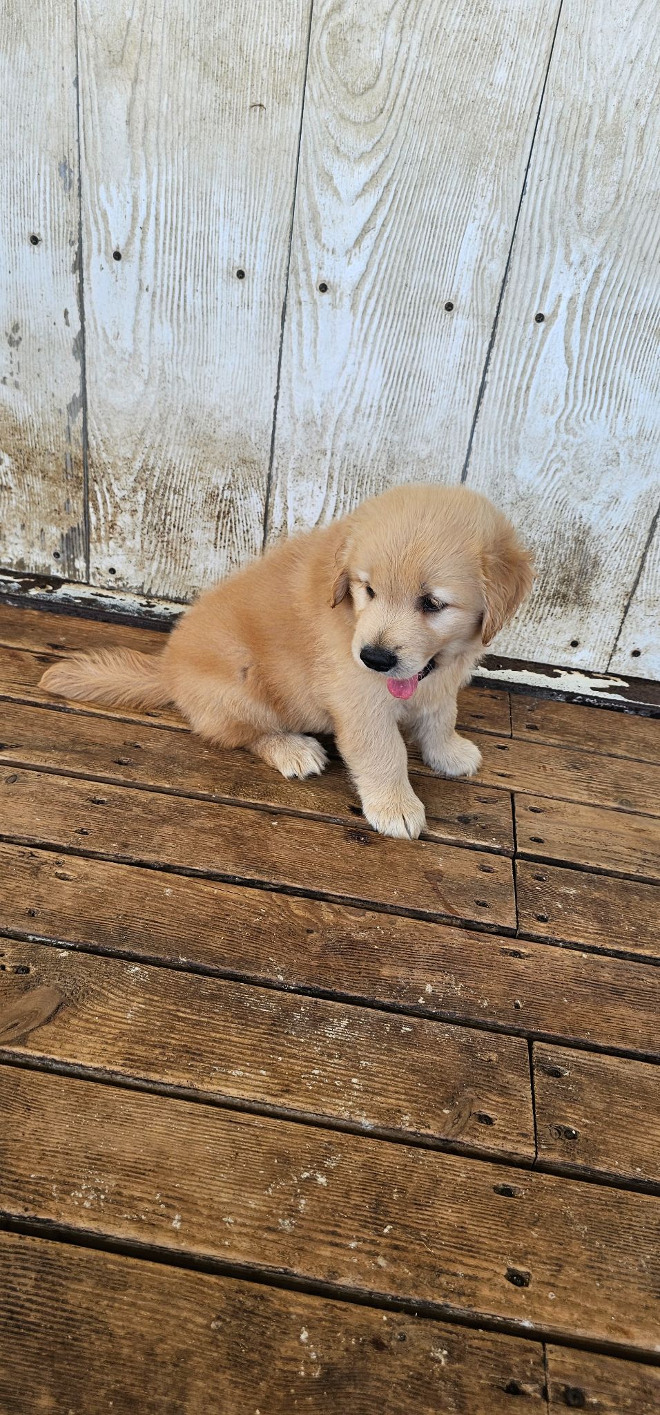 20260712 095452